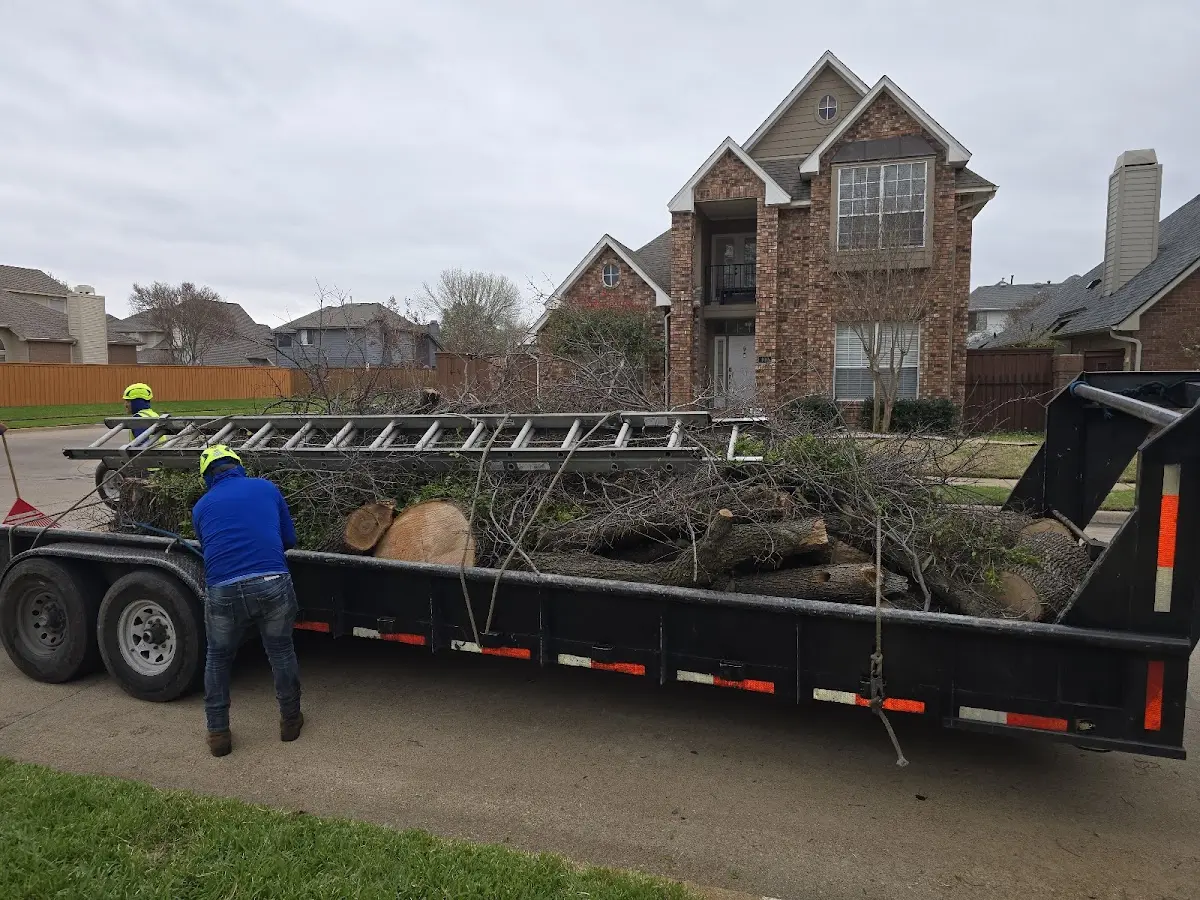 Expert Tree Fertilization with proper safety equipment in Fisher